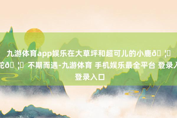 九游体育app娱乐在大草坪和超可儿的小鹿🦌羊驼🦙不期而遇-九游体育 手机娱乐最全平台 登录入口